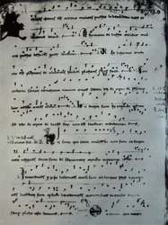 Codice 21, Biblioteca Capitolare di Benevento
